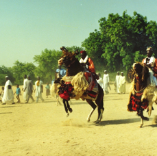 Des chevaliers kanembous